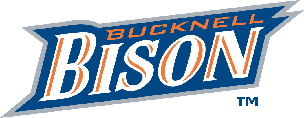 Bucknell Bison 2002-Pres Wordmark Logo DIY iron on transfer (heat transfer)